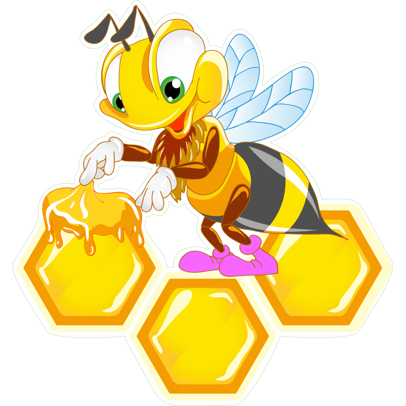 Abeille miel