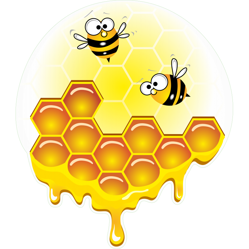 Abeille miel