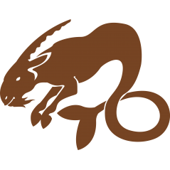 Capricorne zodiaque