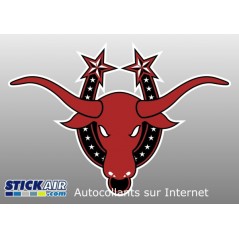 Tete de Taureau
