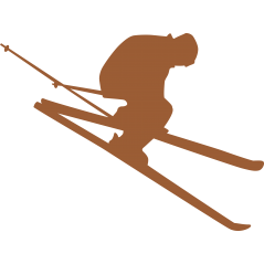 Skieuse