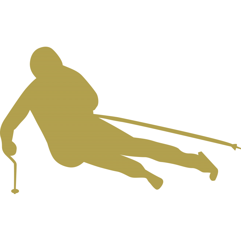 Skieur