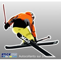 Saut de ski