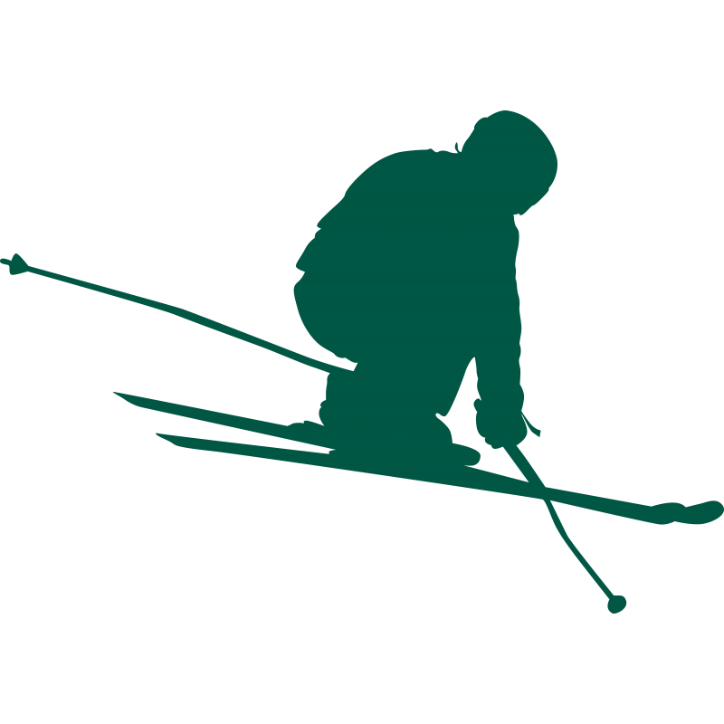 Skieur