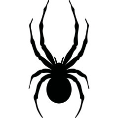 Spyder