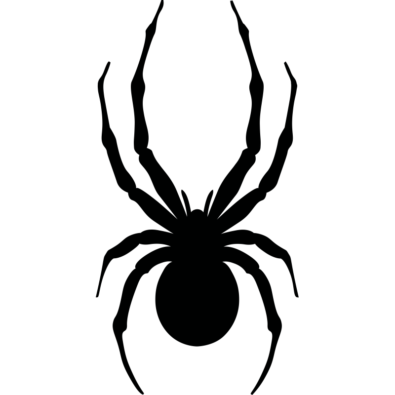 Spyder