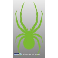 Spyder