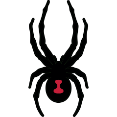 Spyder