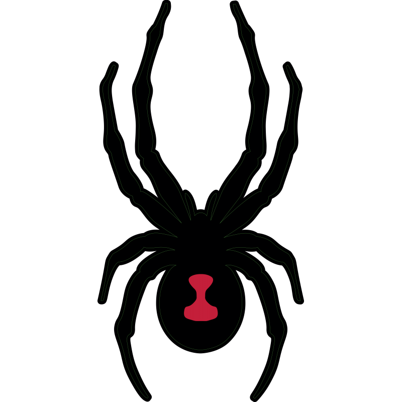 Spyder