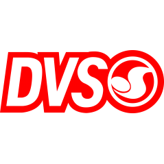 DVS Shoes