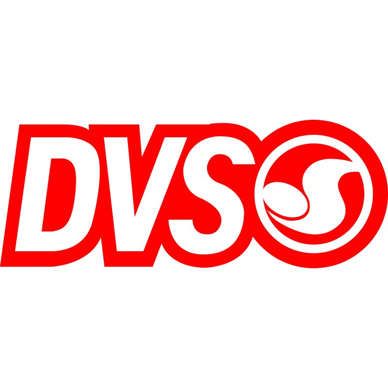 DVS Shoes