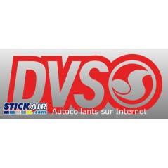 DVS Shoes