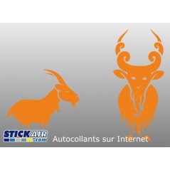 Bouc et chevre