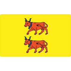 Drapeau Bearn