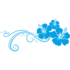 Hibiscus arabesque
