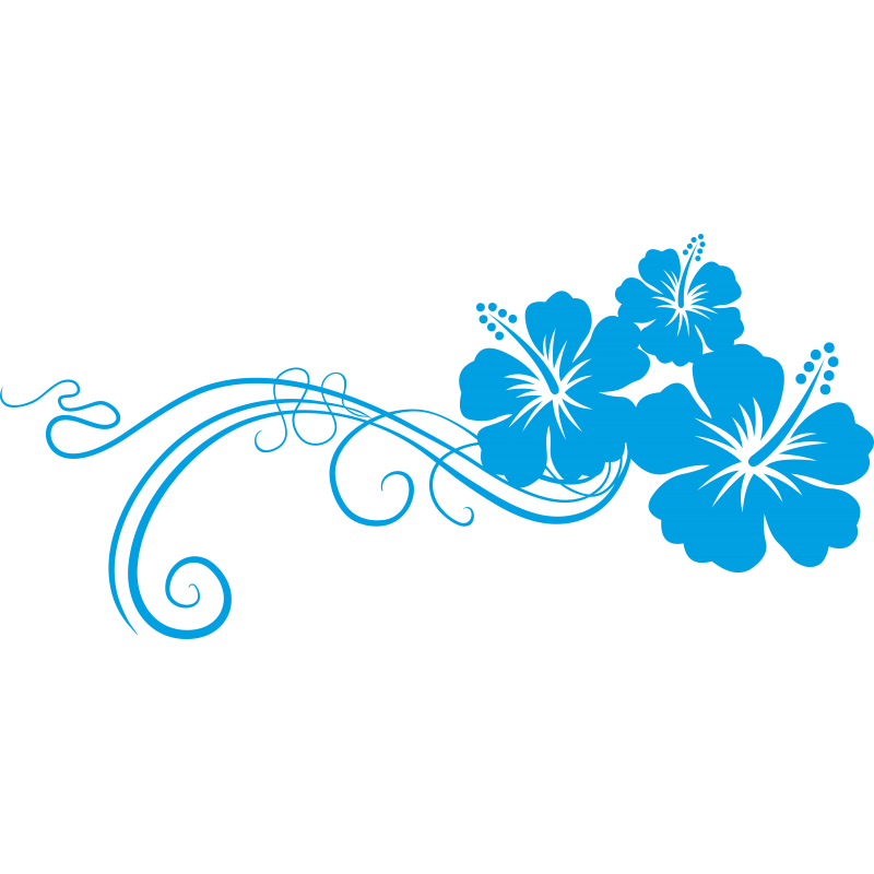 Hibiscus arabesque