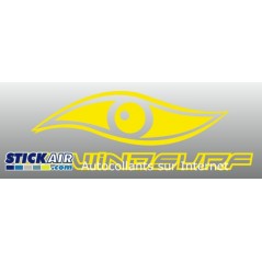 Bic Windsurf
