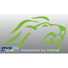 Tete de lion