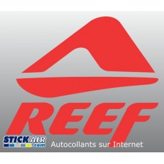 Reef