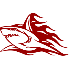 Requin flaming