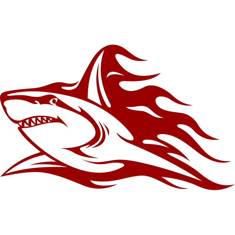 Requin flaming