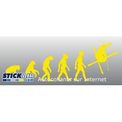Evolution Ski