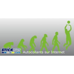 Evolution Volley