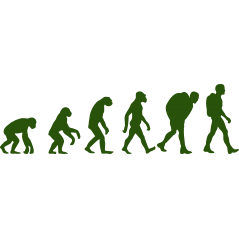Evolution MUL
