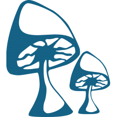 Champignons