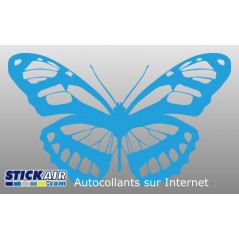Papillon