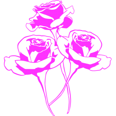 Bouquet de roses