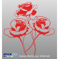 Bouquet de roses