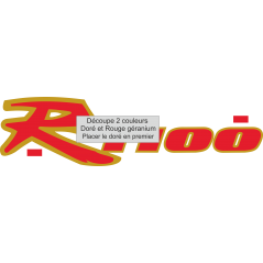 Suzuki R1100