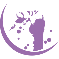 Surf Moon 3