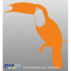 Toucan