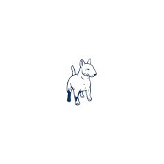 Bull Terrier