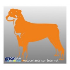 Rottweiler
