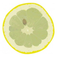 rondelle de citron