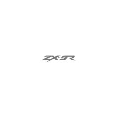 Kawasaki ZX 9R