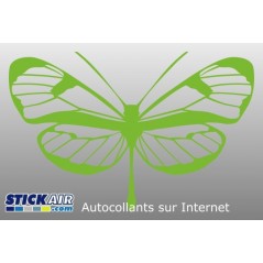 Papillon