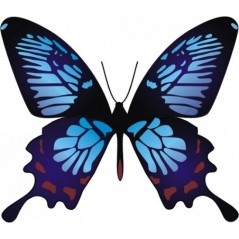 Papillon
