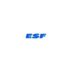Ecole du Ski Francais