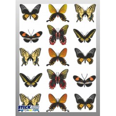 Planche papillons