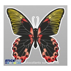Papillon