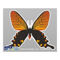 Papillon