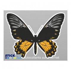 Papillon