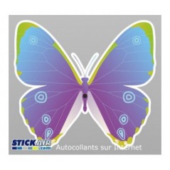 Papillon