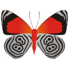 Papillon