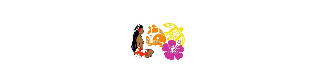 Hawaii style