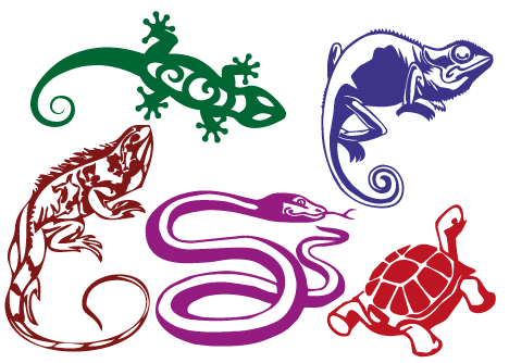 Reptiles
